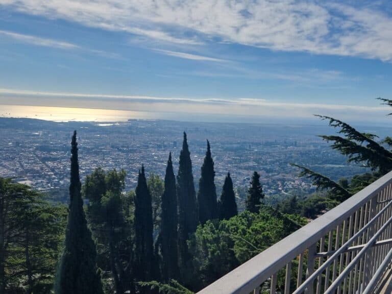 Panoramic view over Barcelona from a hillside terrace, with tall cypress trees framing the city skyline and the Mediterranean Sea shimmering in the distance. The sweeping vista highlights the dramatic meeting of urban life, green hills, and coastline that shapes Barcelona’s identity.
